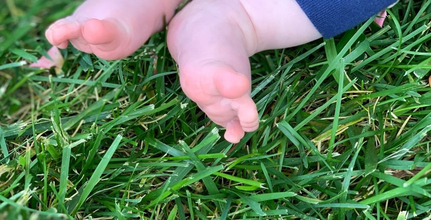 barefoot child on green grass, essential lawncare tips, greener earth organic lawncare